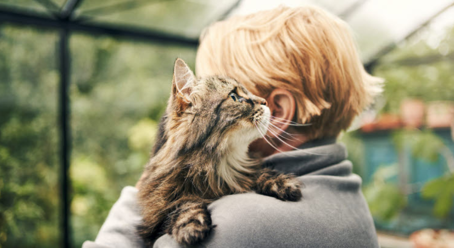Une personne tient un chat dans ses bras